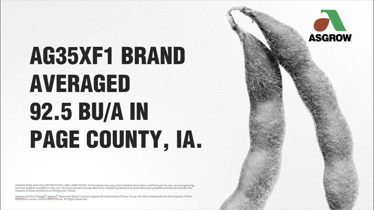 DKAS_SWIA's tweet image. AG35XF1 =stud. 

#itsallaboutthebeans
#successstartshere
@Asgrow_DEKALB