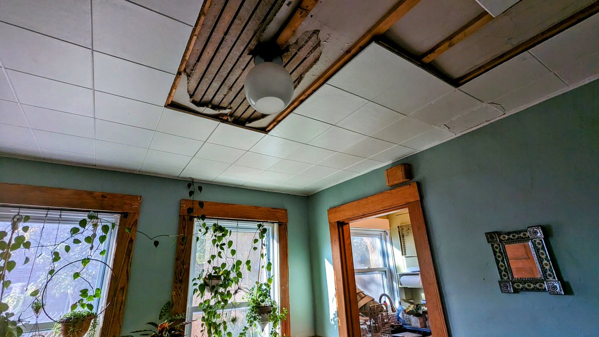 myš 🐭 tweet media