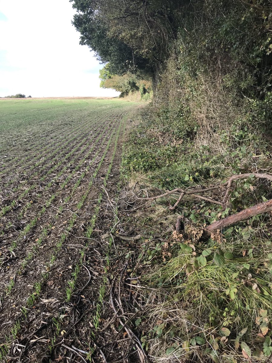 There’s supposed to be a footpath here but each year the farmer takes up more space and there’s nowhere to walk. Who can I contact about this? Can anyone advise please?