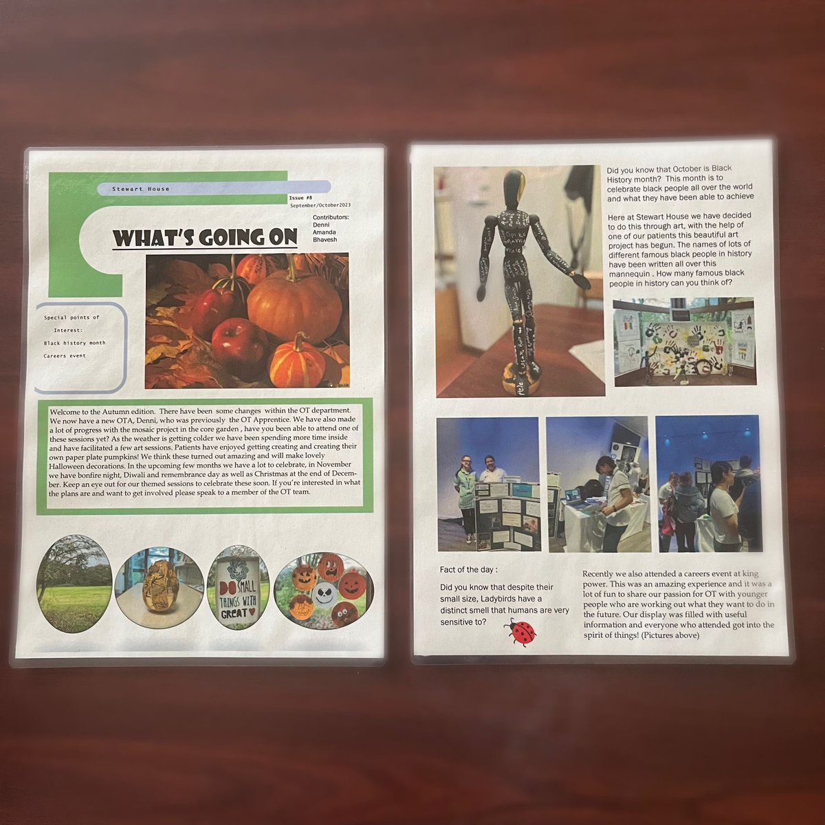 The #StewartHouse patient and staff newsletter has arrived. Its the #September #October edition. #BlackHistoryMonth saw some patients getting involved by getting creative. There is also news of up coming events. #patientinvolvment #OccupationalTherapy 🙌🏽