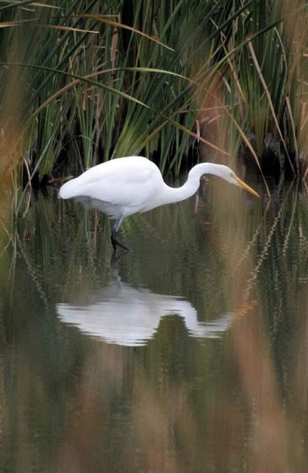 What we need:

Less projection.  More reflection.