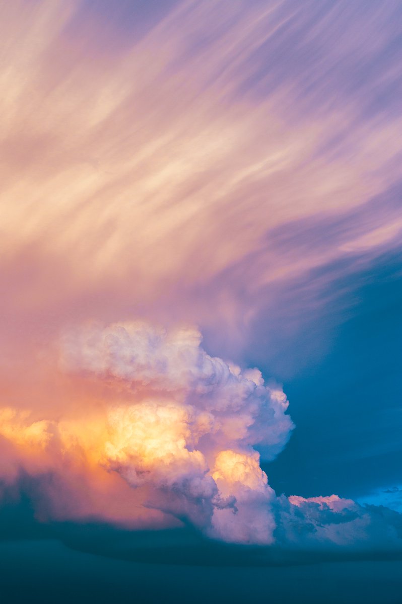 JR Goodwin tweet media