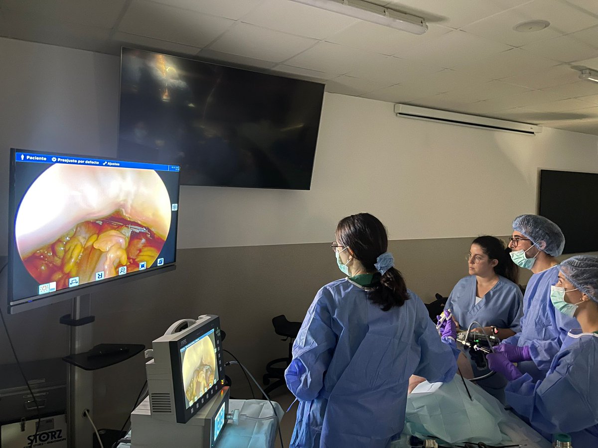 📢 Avui, 7a simulació de cirurgia laparoscòpica i oberta amb cadàver amb els residents de cirurgia de l'Hospital Germans Trias i Pujol, amb l'Hospital Virgen del Rocio de Sevilla i amb les tutores @vir_dur @CAlberoBosch