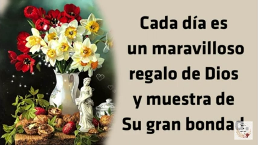 Rosa Ibarra (@rosaiba58330843) on Twitter photo 