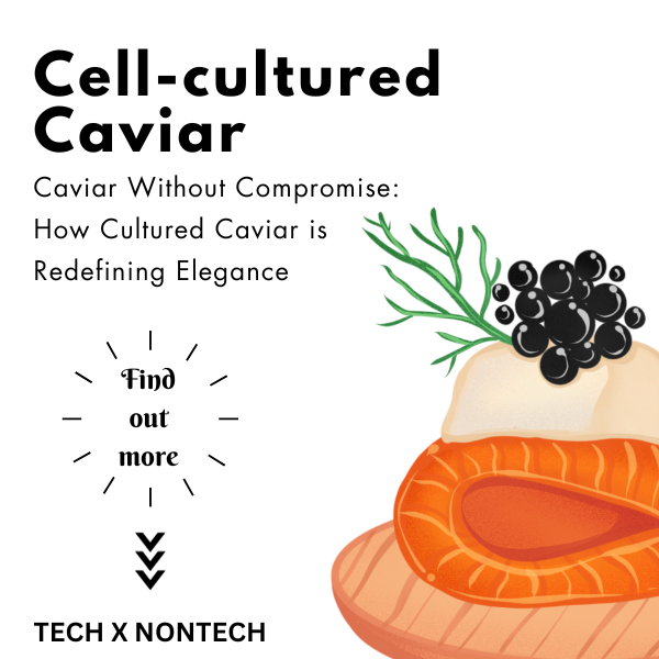 andreeahha's tweet photo. Cell-cultured caviar is a sustainable &amp; ethical alternative to traditional caviar without harming sturgeon populations

LINKEDIN https://t.co/BqlCDhfYxl
MEDIUM  https://t.co/YHn5Fqm5ik
SUBSTACK https://t.co/excuVgbVUi

#foodtech #technology https://t.co/OvqMmCOk6e