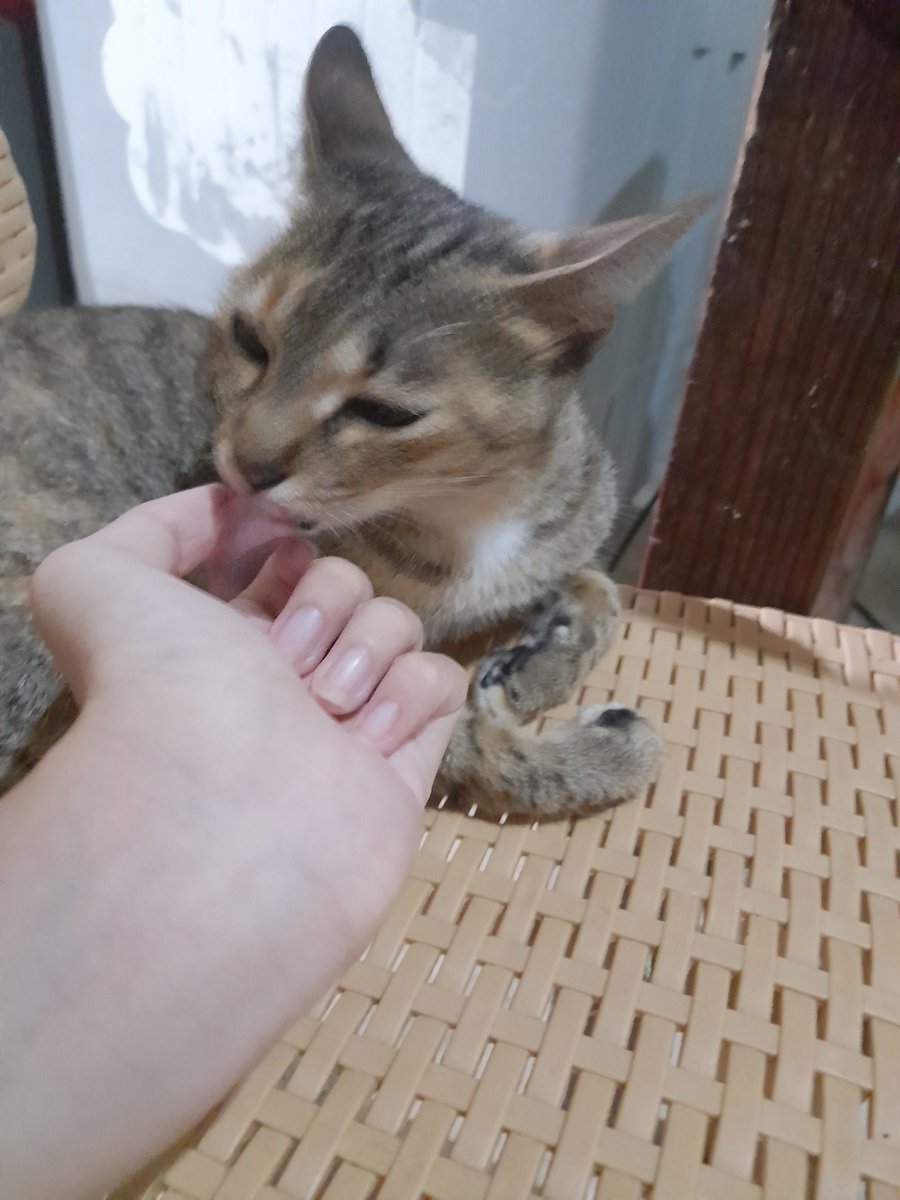 i miss you always and forever praying na babalik ka na.

i love you, damara ko