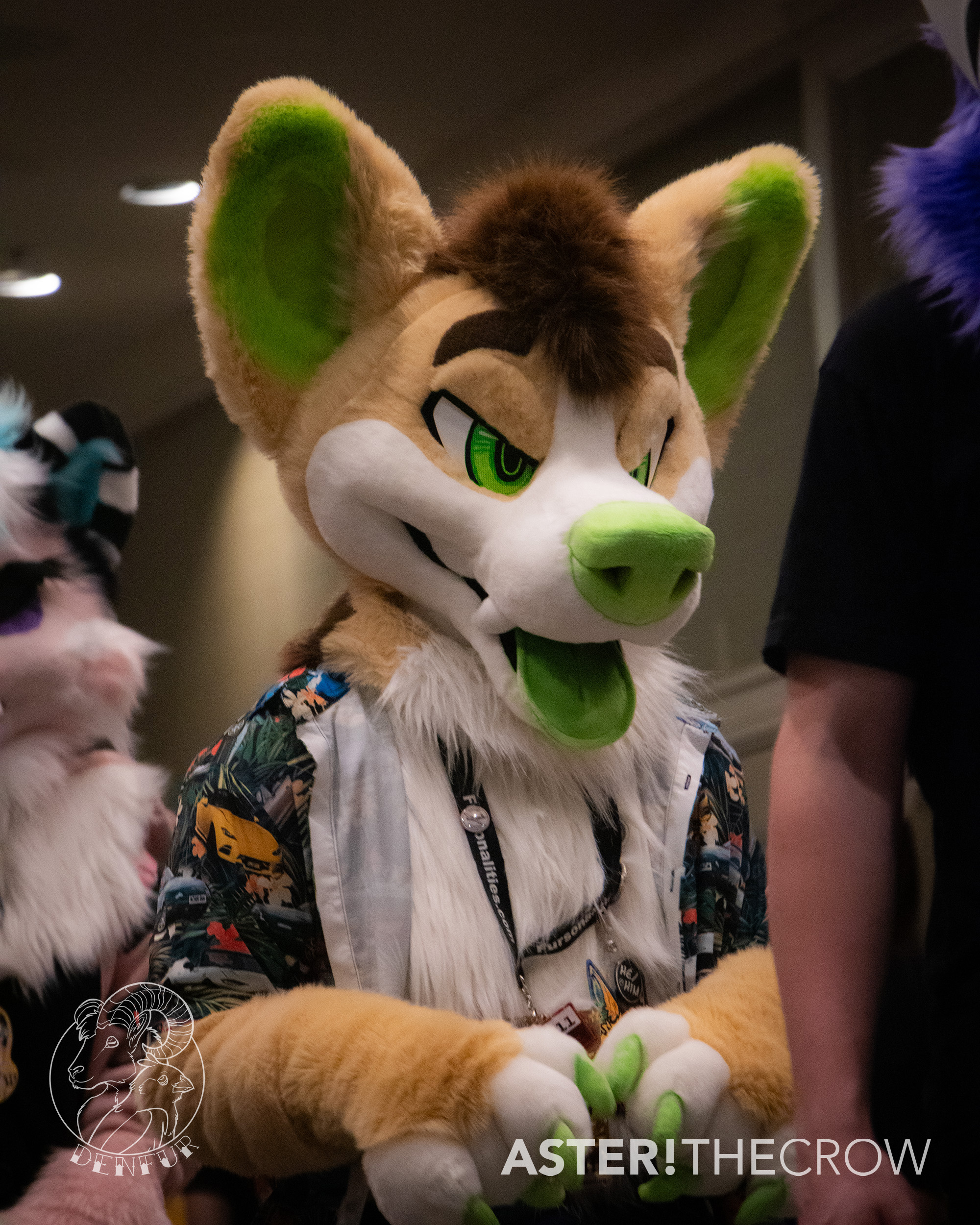 DenFur 2024 On X Here Is The Registration Schedule For The, 44 OFF