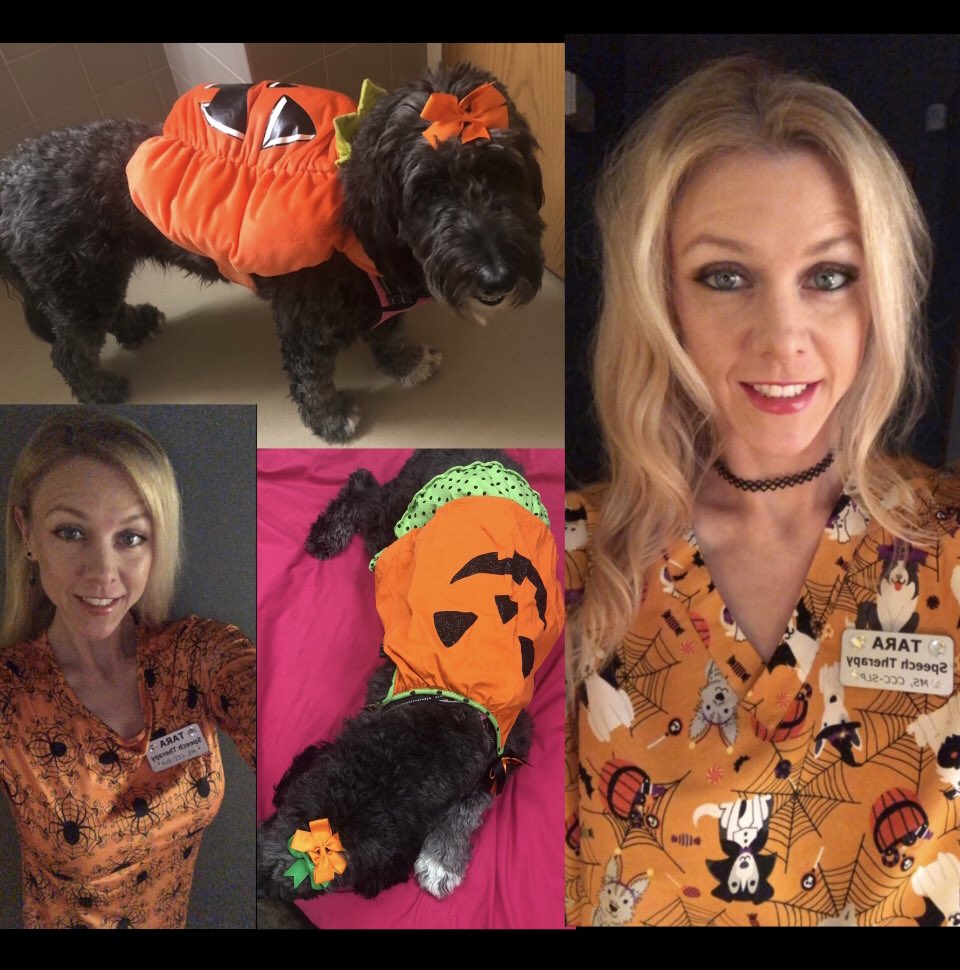 Lulu Louise & I had fun being festive (at the nursing home) all of October for the residents!
🕷️🎃🐩 

#speechtherapy #therapydog #goldendoodledressup #nofiltersever #halloween2023 #sofestive