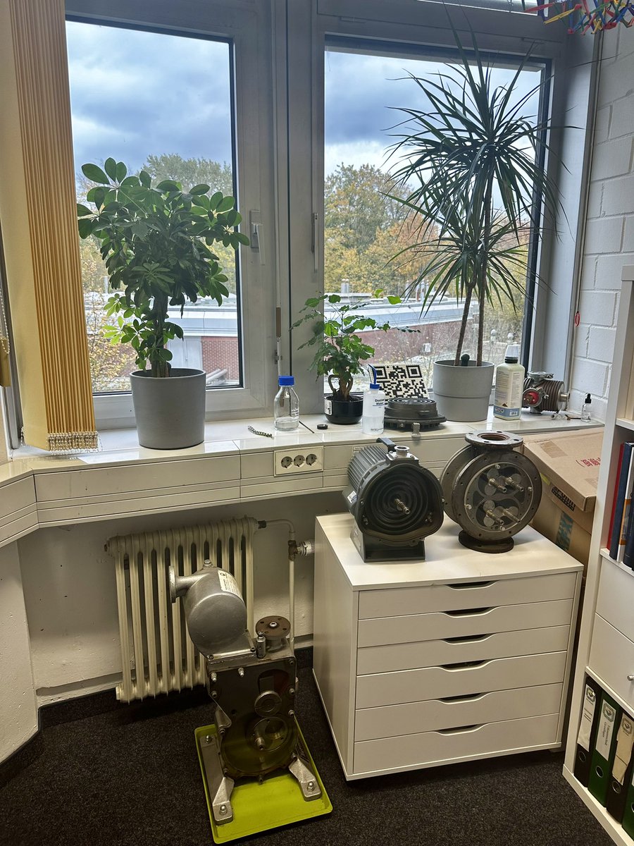 Büropflanzen still going strong!