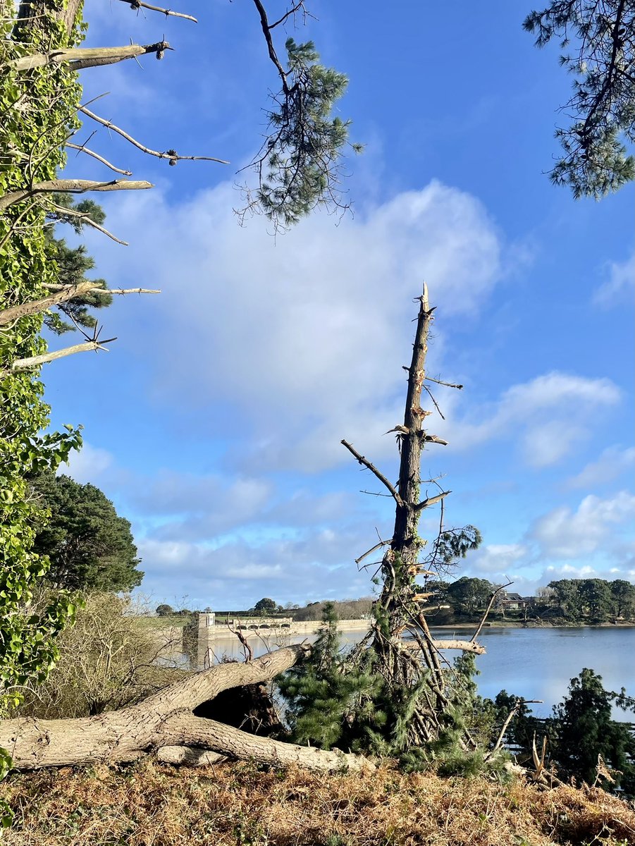 24 hours after the storm - Guernsey is sunny again.