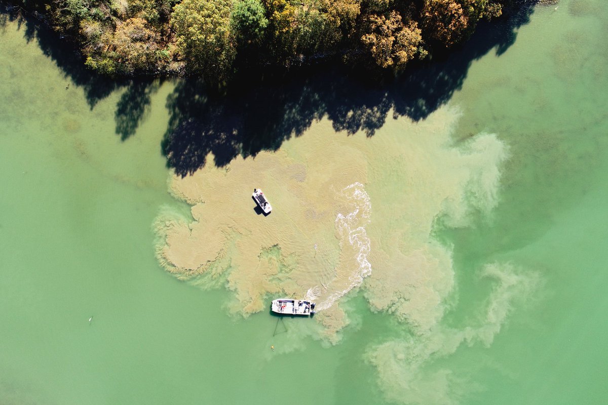 a_roman_4's tweet photo. Recently, we have been conducting drone surveys with a multispectral sensor as part of my Fulbright program to work on the development of new ocean optics methods that will allow us, among other things, to monitor turbidity associated with dredging activities in coastal areas. https://t.co/fKrhZ29xUH