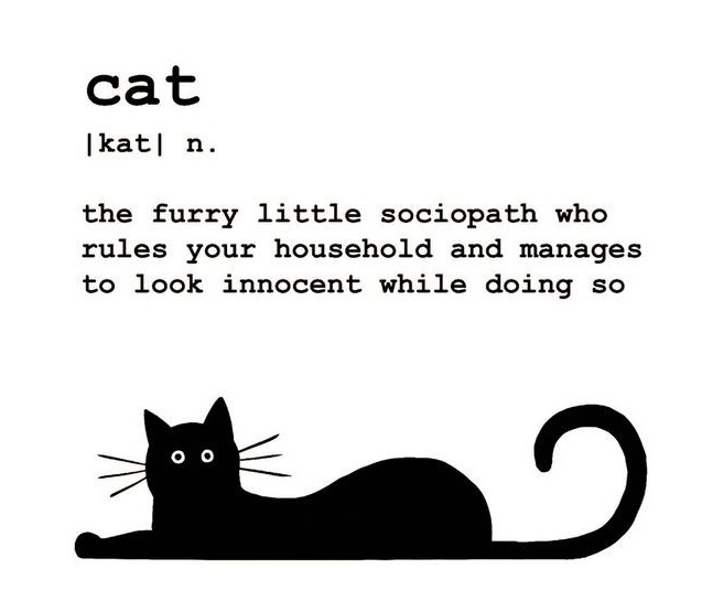 Eclectic Emporium 🇿🇦 tweet media