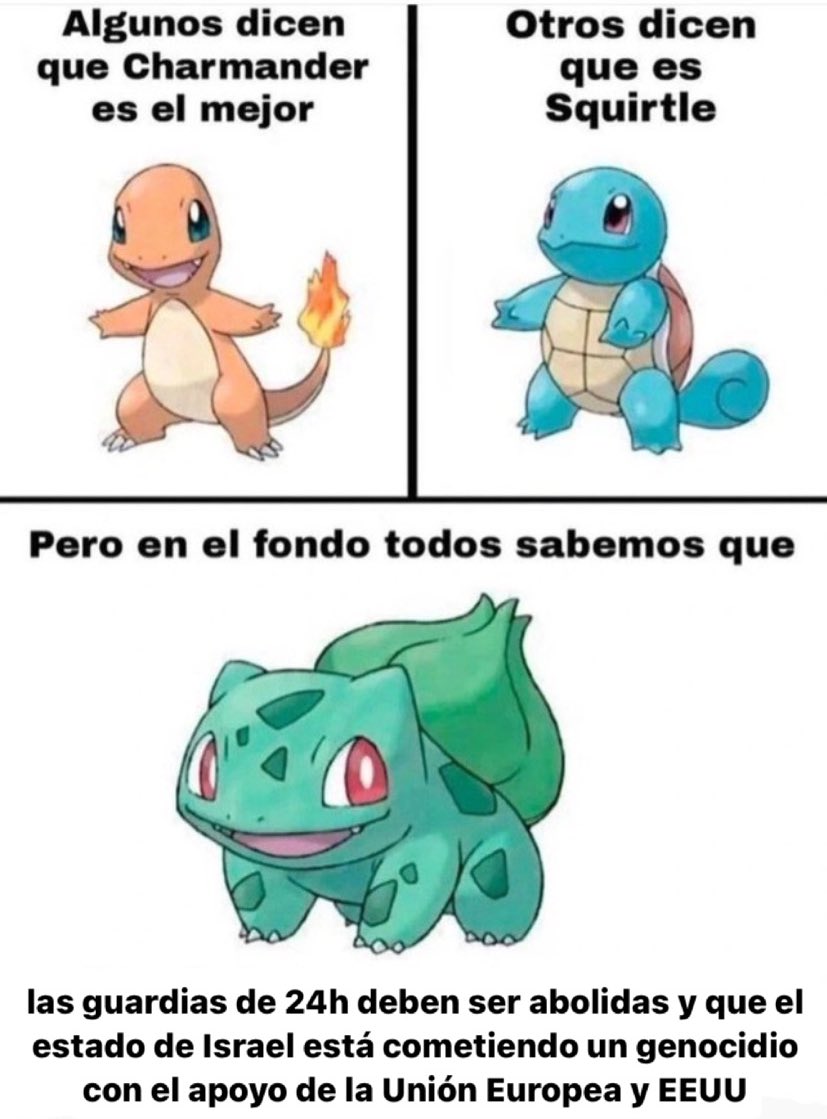 Perrito del MIR 🐶🏵️ (@perritodelmir) on Twitter photo 