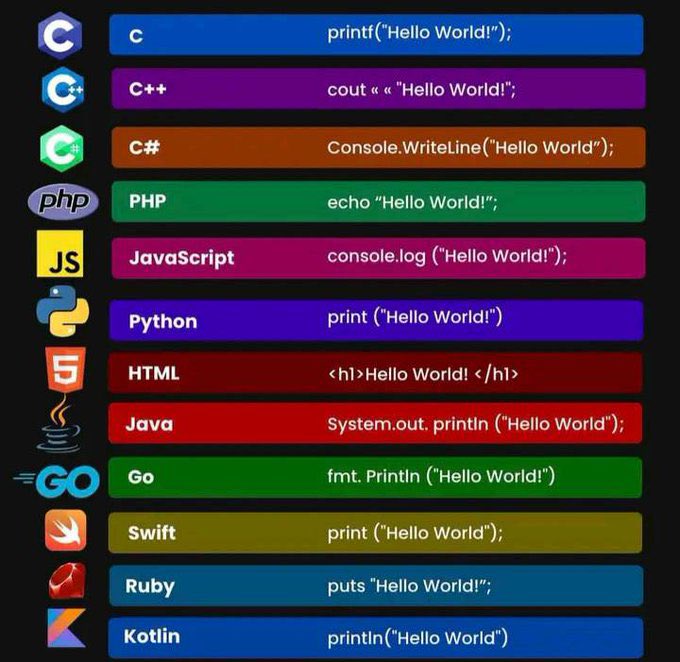 CreeCoder's tweet image. Resume:
•Proficient in 12 programming languages, including C, C++, C#, PHP, JavaScript, Python, HTML, Java, Go, Swift, Ruby & Kotlin. 
Reality: