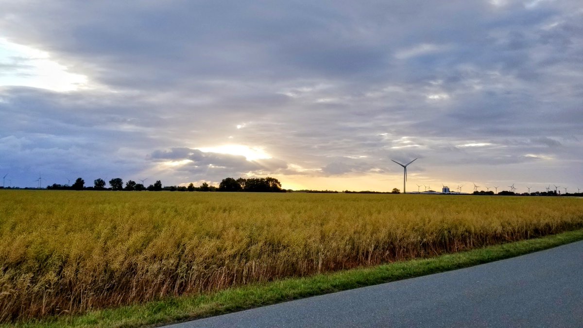 Impressionen von Fehmarn... 
 #Fehmarn #Ostsee #Insel #Ferien #Urlaub #ostseeliebe #küstenliebe #balticsea #meerliebe #schleswigholstein #strand #meerweh #ostseeurlaub #reiselust #ostseekult 
natuerlichfehmarn.de
