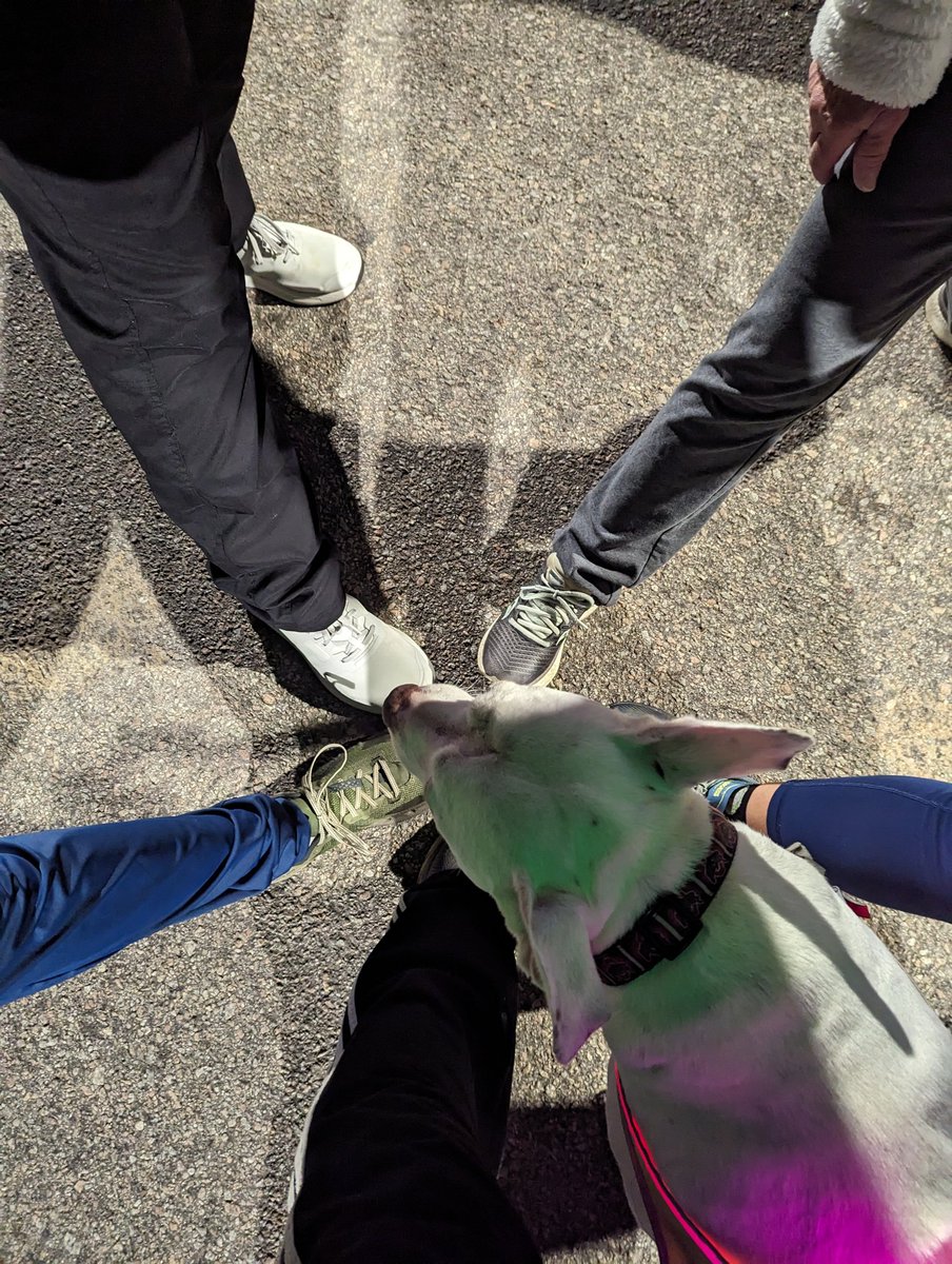 F3Deadstick's tweet photo. 3 PAX @SerpentF3 join two ladies @NazRuckers for some chilly rucking around town. Brrrrrrr! #f3counts @F3LexSC @F3SnakePit @F3_Flea_ @EricHuskrnut63 https://t.co/yfg62gP5mJ