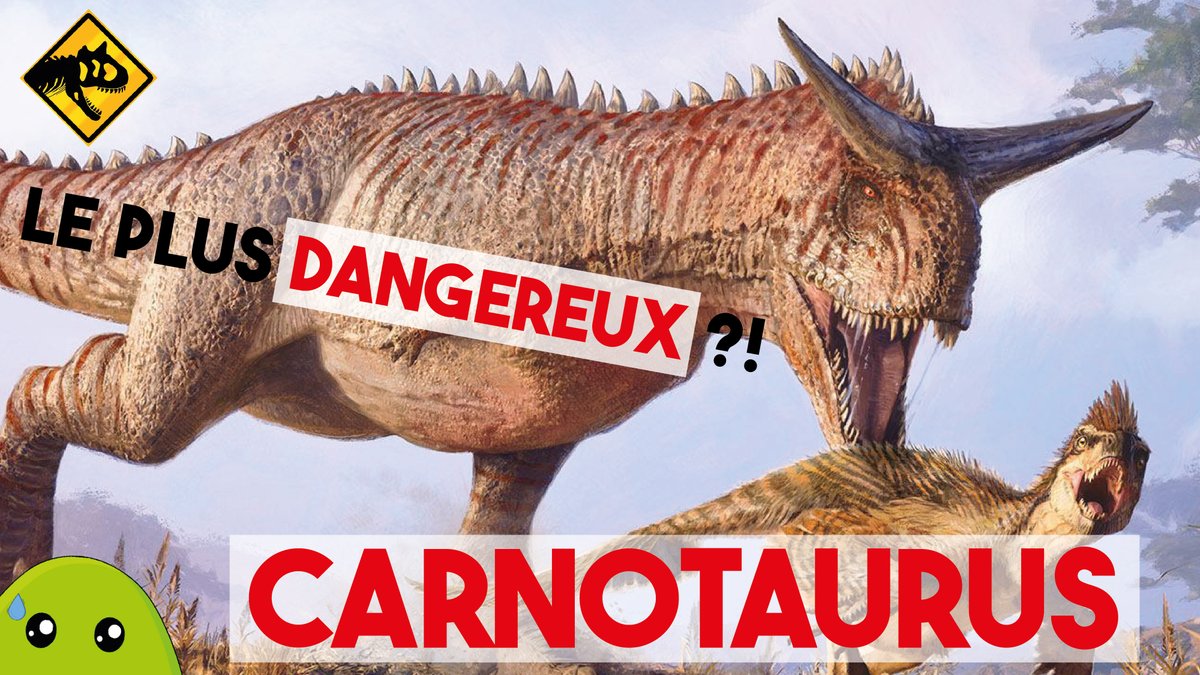 ProfBlob's tweet photo. Nouvelle blobidéo consacrée au célèbre Carnotaurus, probablement un des dinosaures prédateurs les plus efficaces ayant jamais existé ! 
https://t.co/mLas2uzmVp https://t.co/Qu2TF6rme9