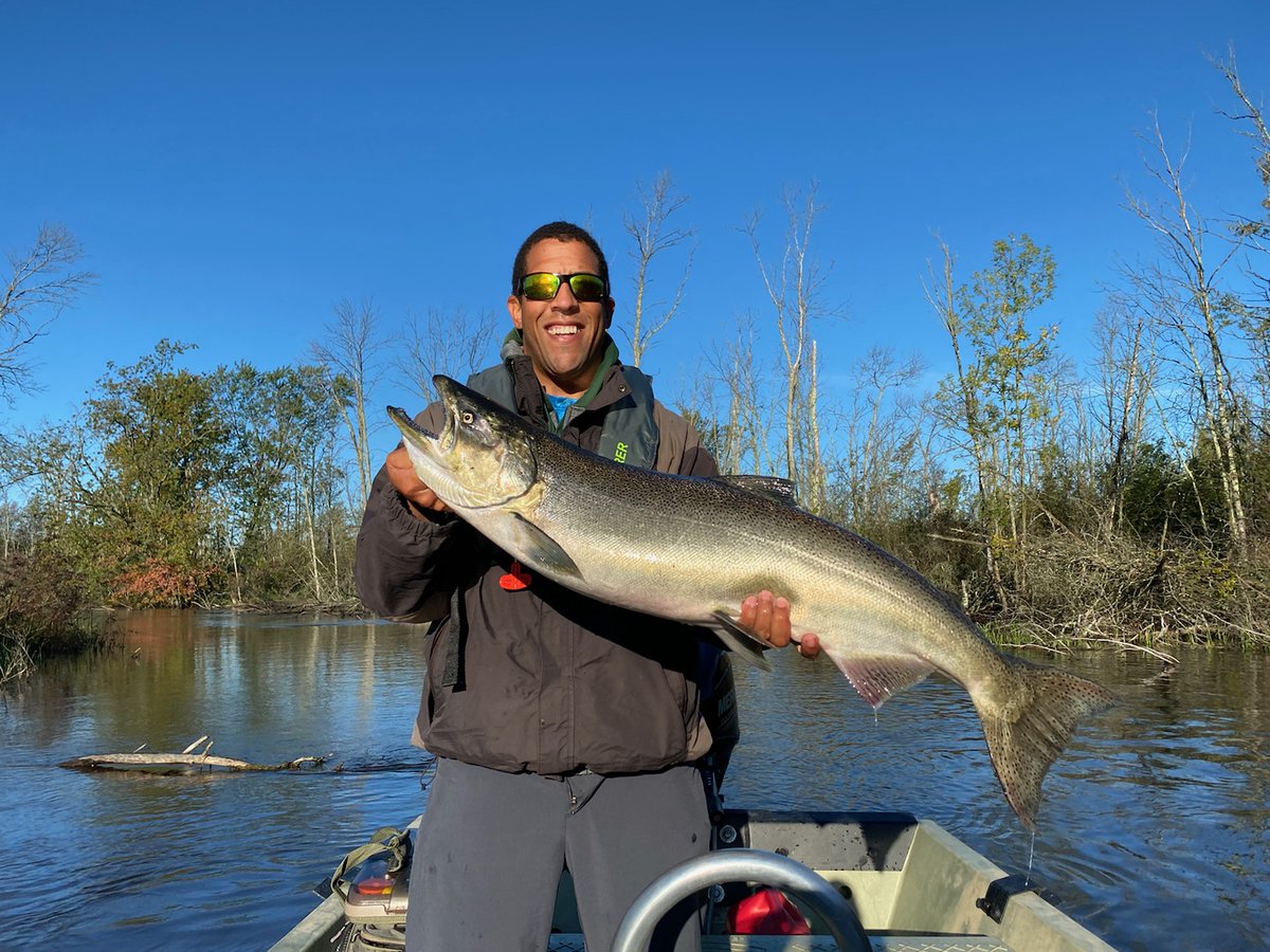 Ichthyprof's tweet image. I'm back (I guess).