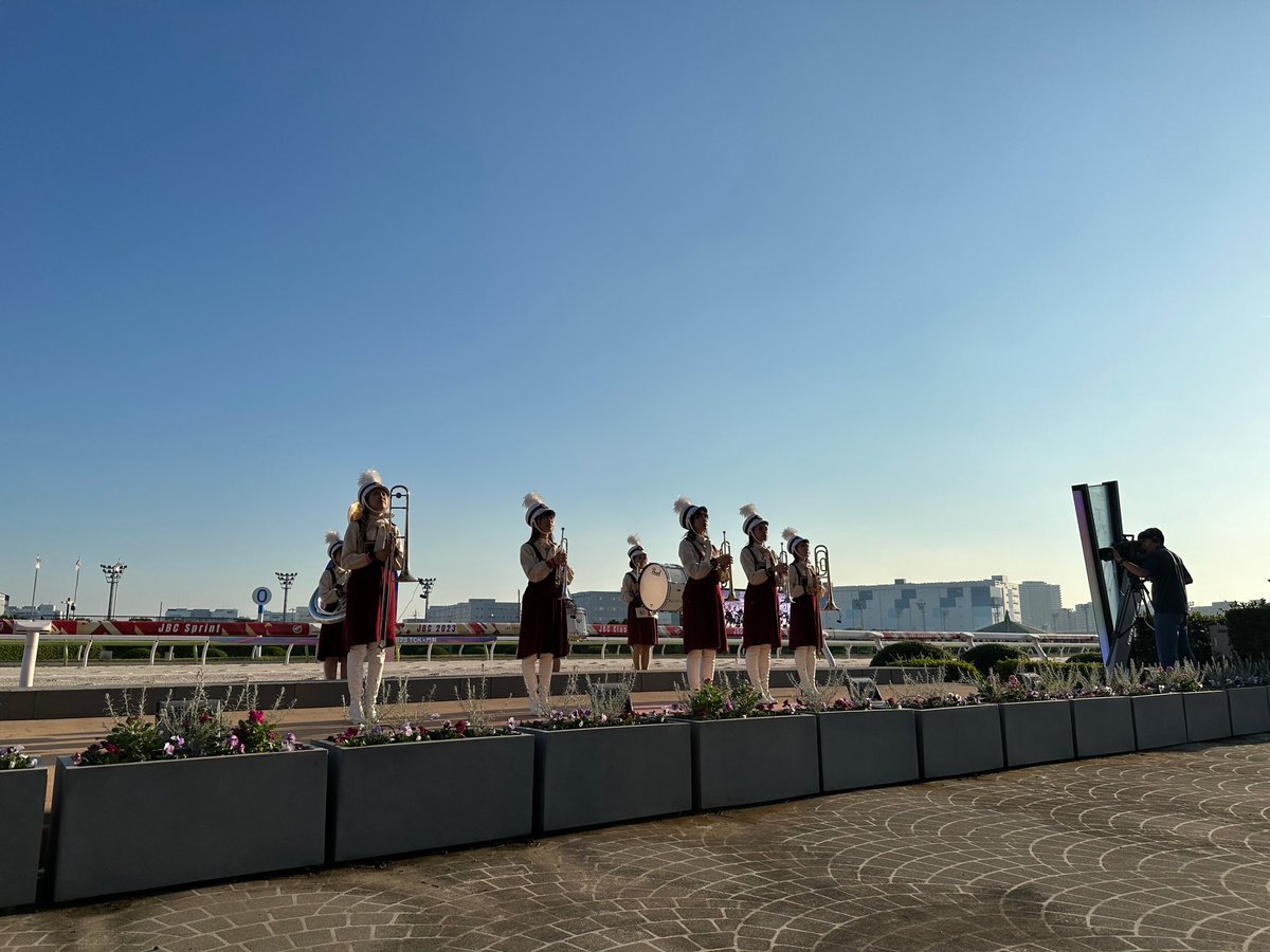 東京トゥインクルファンファーレ tweet media