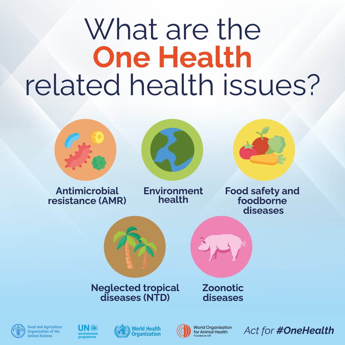 #OneHealth related health issues include: 🟢 Antimicrobial resistance 🟢 Environment health 🟢 Food safety 🟢 Neglected tropical diseases 🟢 Zoonotic diseases More info 👉bit.ly/40pVXRe