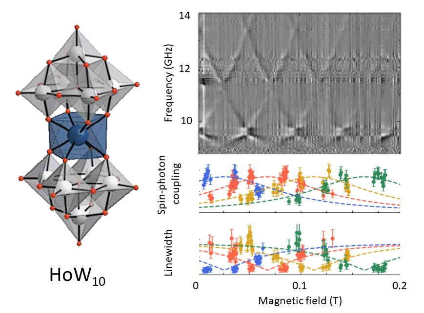 fatmols.eu (@fatmols) on Twitter photo Two in one! Spin-clock transitions in molecular spin qubits maximize the coupling to superconducting circuits while minimizing the spin linewidth. Work by <a href="/INMAdivulga/">INMAdivulga</a>, <a href="/SuperTechCAB/">SuperTech@CAB</a>, <a href="/ICMol_UV/">ICMol</a>, <a href="/IMDEA_Nano/">IMDEA Nanociencia 🔬</a>, <a href="/NationalMagLab/">National MagLab</a> and #USTC just published in <a href="/PhysRevApplied/">Physical Review Applied</a> Two in one! Spin-clock transitions in molecular spin qubits maximize the coupling to superconducting circuits while minimizing the spin linewidth. Work by <a href="/INMAdivulga/">INMAdivulga</a>, <a href="/SuperTechCAB/">SuperTech@CAB</a>, <a href="/ICMol_UV/">ICMol</a>, <a href="/IMDEA_Nano/">IMDEA Nanociencia 🔬</a>, <a href="/NationalMagLab/">National MagLab</a> and #USTC just published in <a href="/PhysRevApplied/">Physical Review Applied</a>