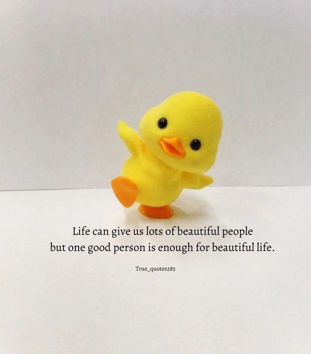 lightningAko's tweet image. 🤍