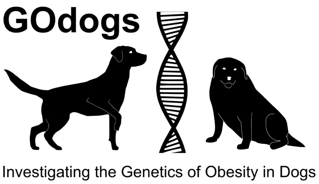 Fully funded MRC iCASE PhD studentship studying canine obesity genetics, with industry link open to applications now! findaphd.com/phds/program/c… Please RT!