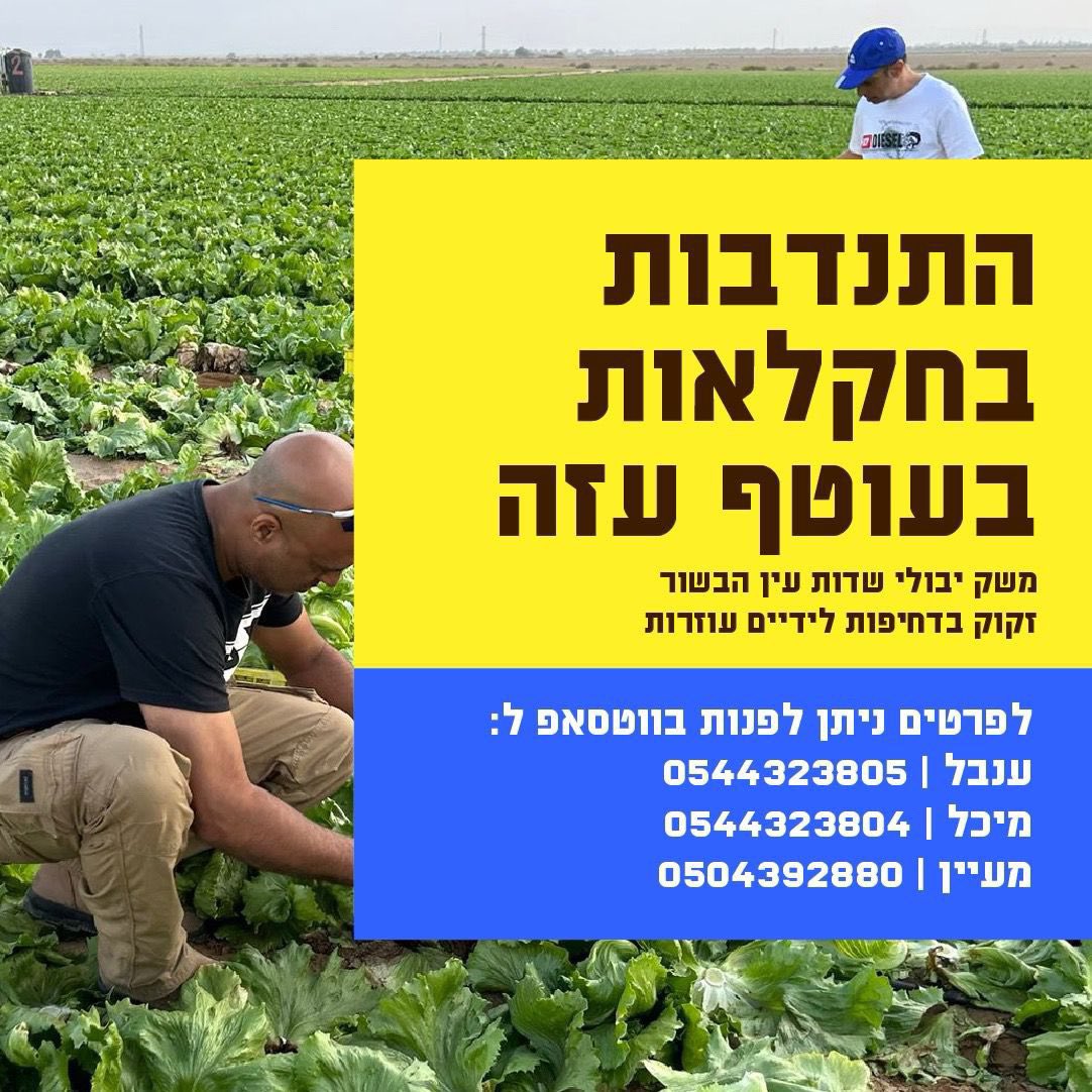sheziff's tweet photo. שבת שלום,
מי שמחפשים איפה לתת עבודה מה שנקרא, החברים מעין הבשור ישמחו לעזרה.

טופס התנדבות:

https://t.co/jWADjY4fvK https://t.co/HB8KeHywva