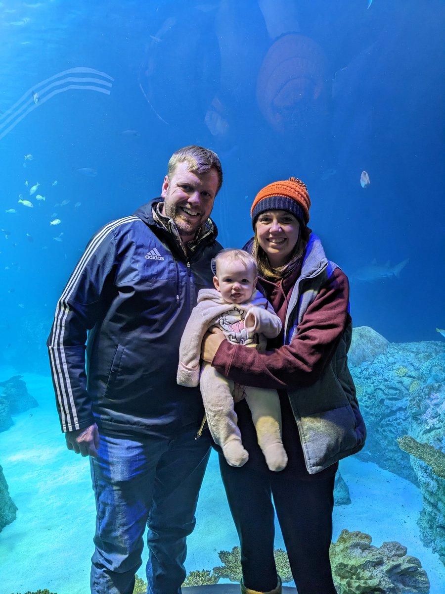 Derek Brizendine tweet media