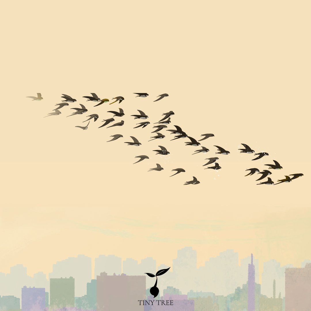 "Conservation is a state of harmony between men and land." 

- Aldo Leopold