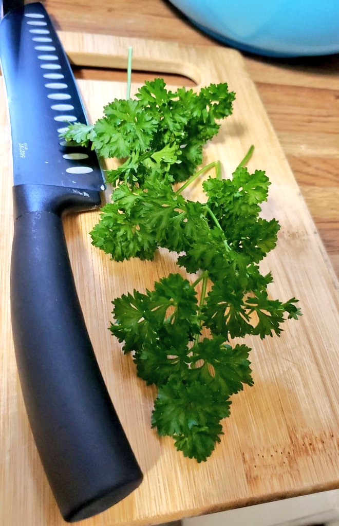 Goooood Morning #FungiFam 🍄☕

Woot woot!!!
Another beauty #FridayMorning is upon us, so it's time to get up and give your #BEST at whatever you have in front of you ❤️