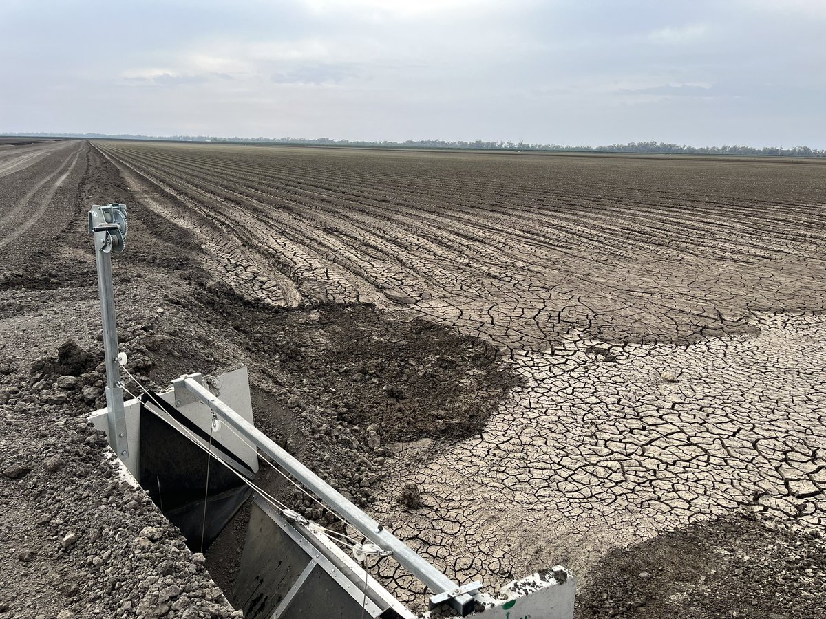 Looking good in Moree 👌