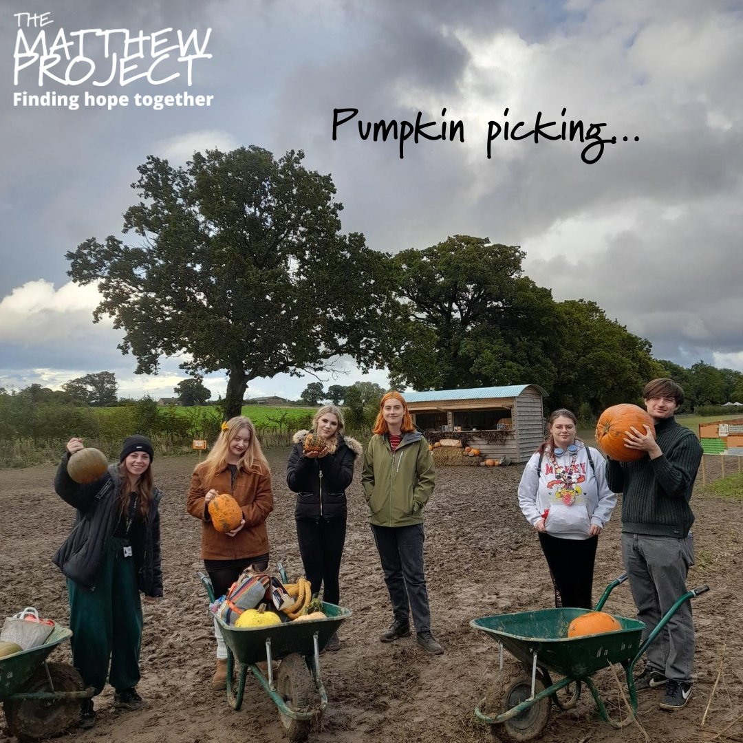 OnTrackNorfolk's tweet photo. This week we went pumpkin picking and carving at Ha Ha Farm  as part of our positive activity programme! Swipe to see our activity programme flyer if you’re interested in getting involved! https://t.co/5QdG3U2bqb