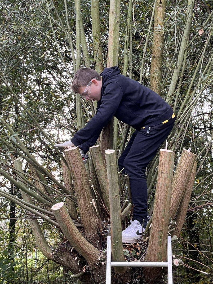 KnotploegDuiven's tweet photo. Op een winderige maar heerlijke ochtend met 120 kinderen van 3 basisscholen wilgen knotten in @GemeenteDuiven ‘Met je klas de boom in’ geopend door de twee Burgemeesters van Duiven! De takken worden opgehaald als voedsel voo de dieren in @burgerszoo @DuivenBeleven @SLGelderland https://t.co/OVYQjxrUMG