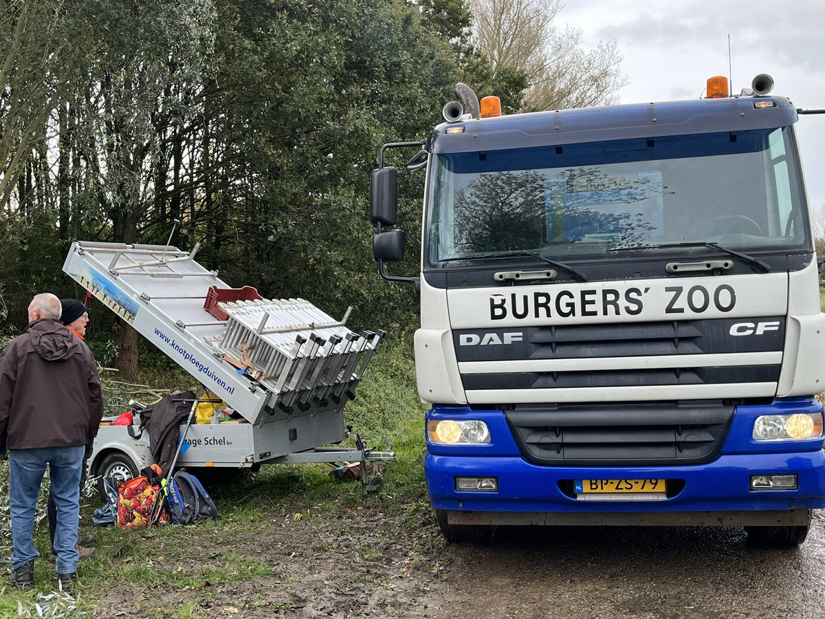 KnotploegDuiven's tweet photo. Op een winderige maar heerlijke ochtend met 120 kinderen van 3 basisscholen wilgen knotten in @GemeenteDuiven ‘Met je klas de boom in’ geopend door de twee Burgemeesters van Duiven! De takken worden opgehaald als voedsel voo de dieren in @burgerszoo @DuivenBeleven @SLGelderland https://t.co/OVYQjxrUMG