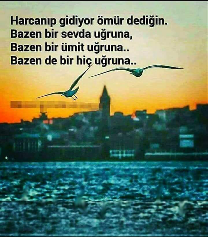 “Yanlış düşünebilirsin,
Yanlış anlayabilirsin,
Yanlış yapabilirsin,
Ama asla yanlış hissedemezssin…”