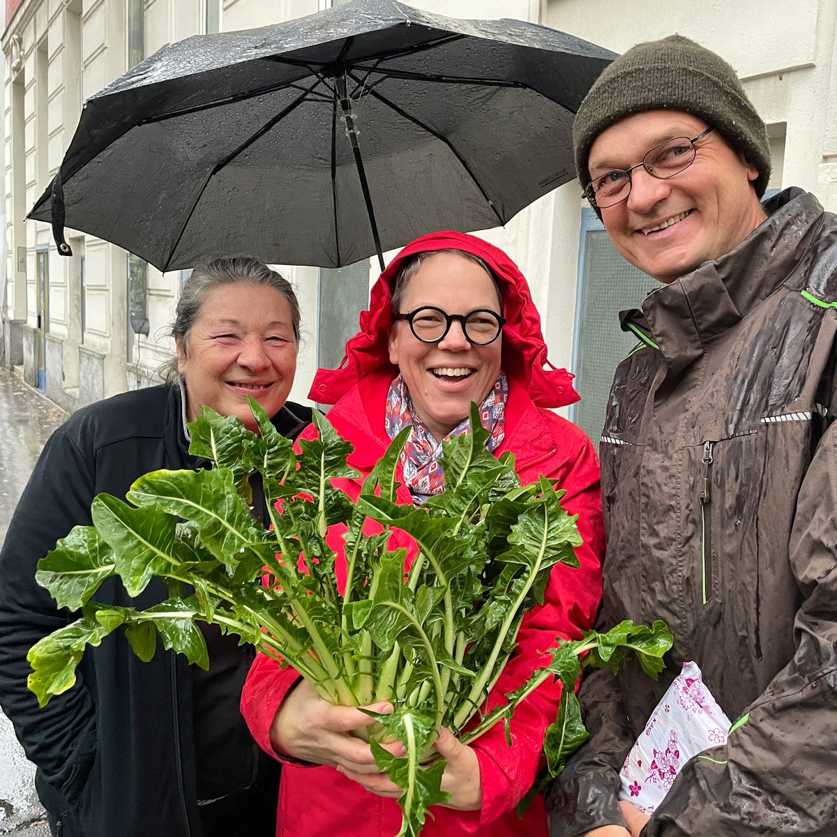 katha_esskultur's tweet image. heute gibt’s nach 8 wochen pause (den grund kennt ihr ja: #österreichexpress) endlich wieder eine #seisernalewarenkunde #83 live im #studio2 @ORF 2 um ca. 17.45 h
es geht um … wer erkennt‘s? hinweis: 🇮🇹…
die lieben @KRAUTWERK_ haben mir frischest geerntete „models“ geliefert!