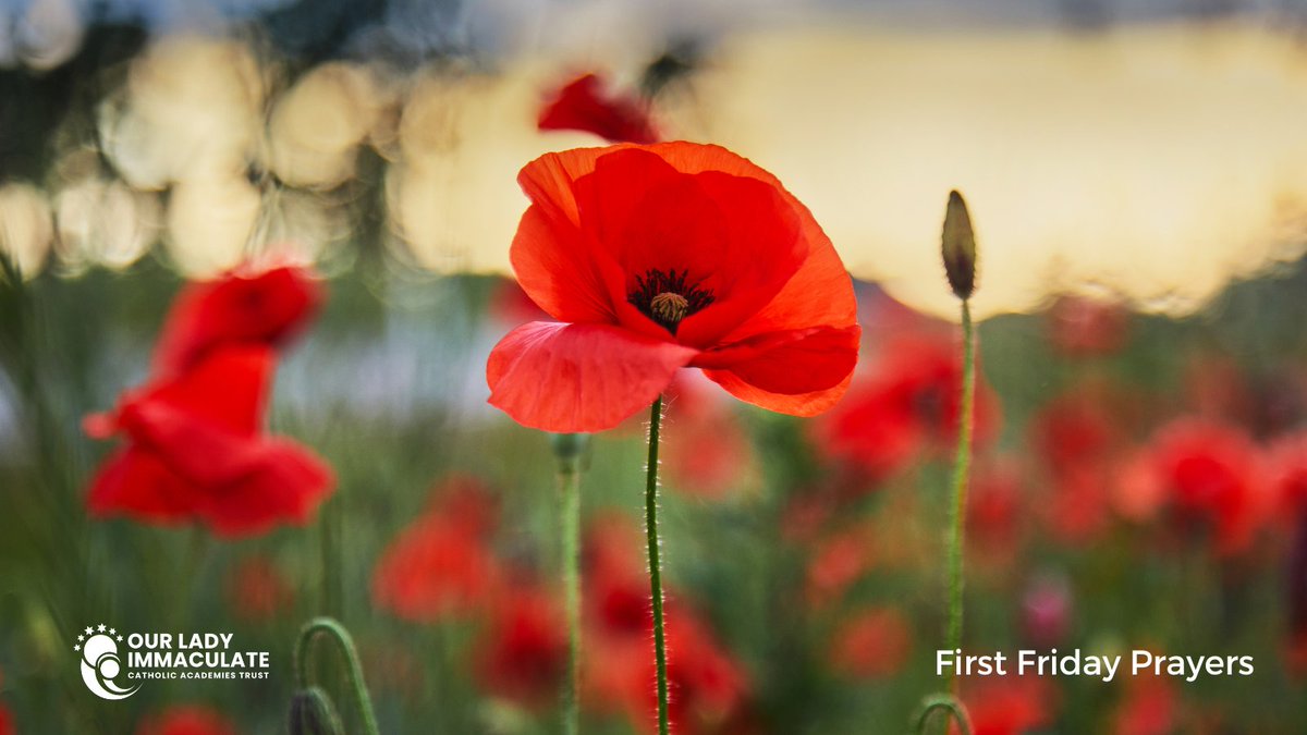 We remember all those students in particular who suffer loss this month and all in our communities who have gone before us to their heavenly home. We thank Spiritual Director Sally for leading us this hour #OLICATcommunity #OLICATFirstFriday