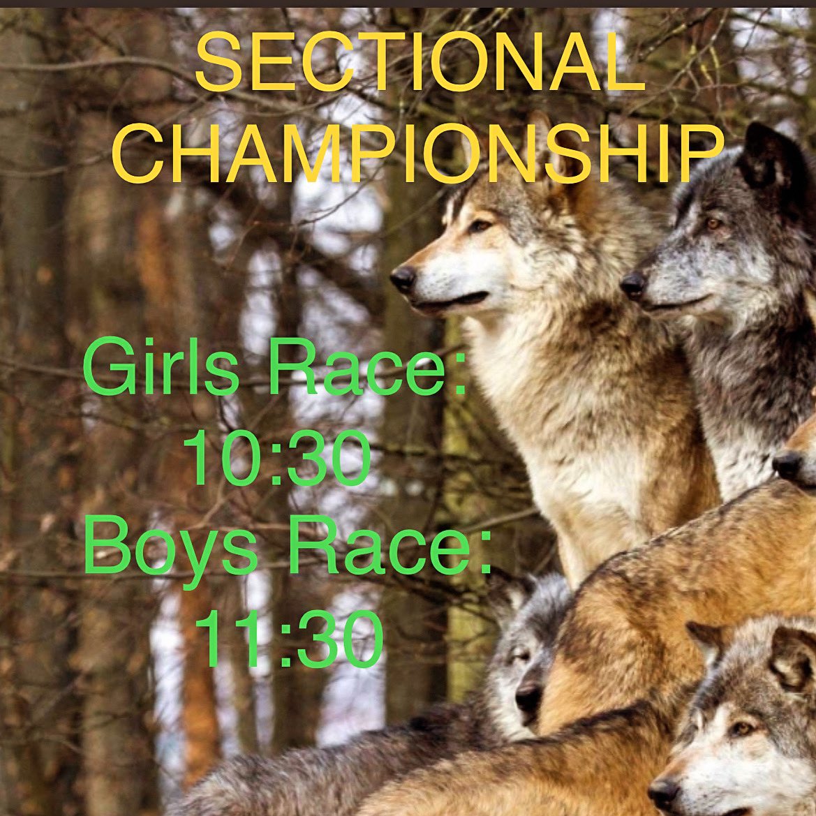 CSPrunners's tweet image. 