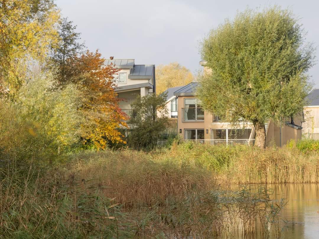 BOB ILES tweet media