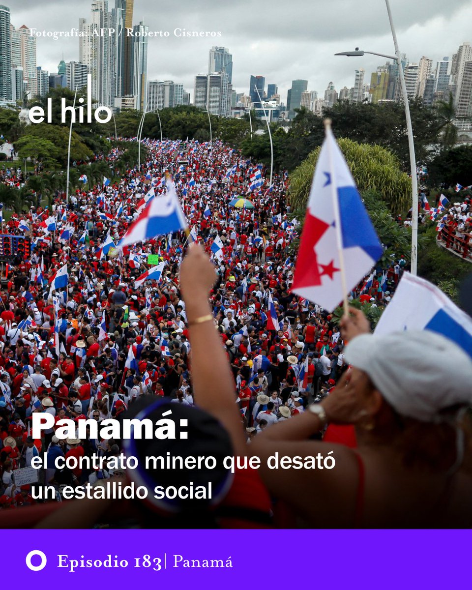 El hilo tweet media