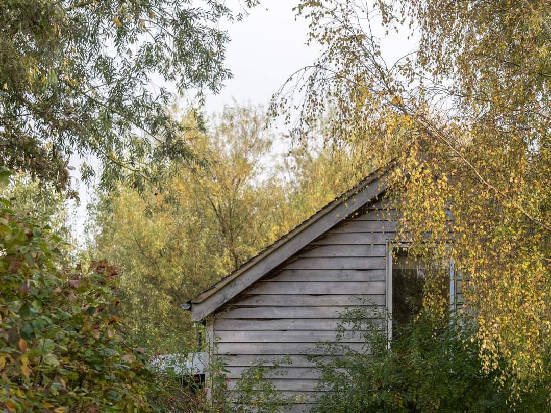 BOB ILES tweet media