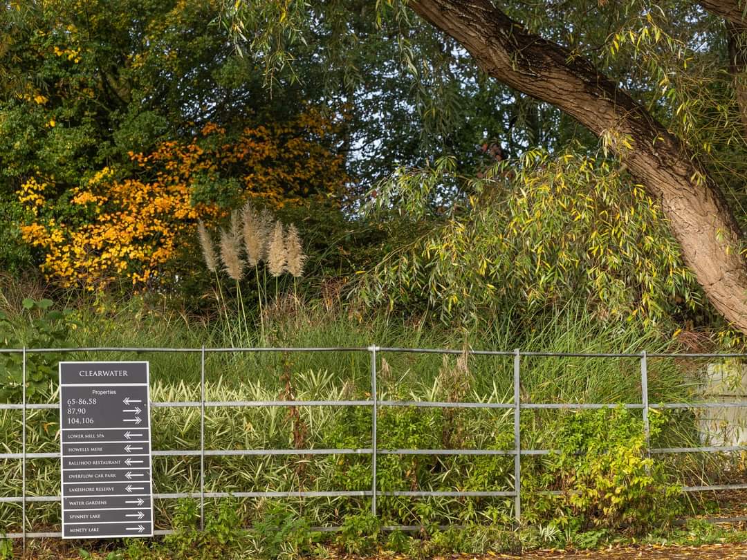 BOB ILES tweet media