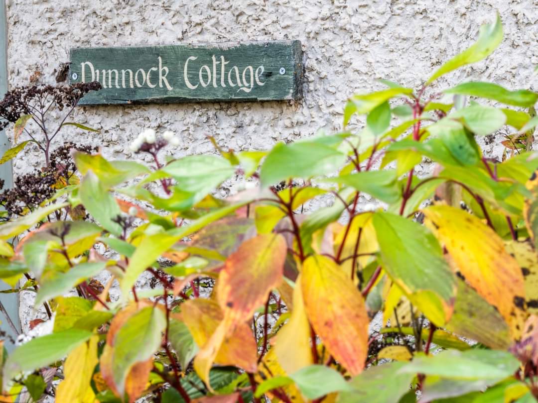 BOB ILES tweet media