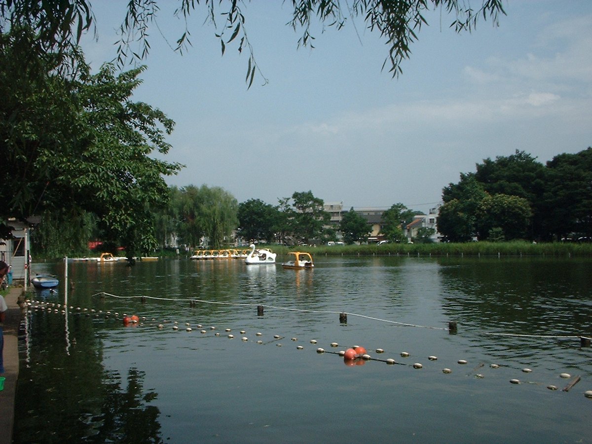 20030712
たぶん善福寺公園
#写真好きな人と繋がりたい