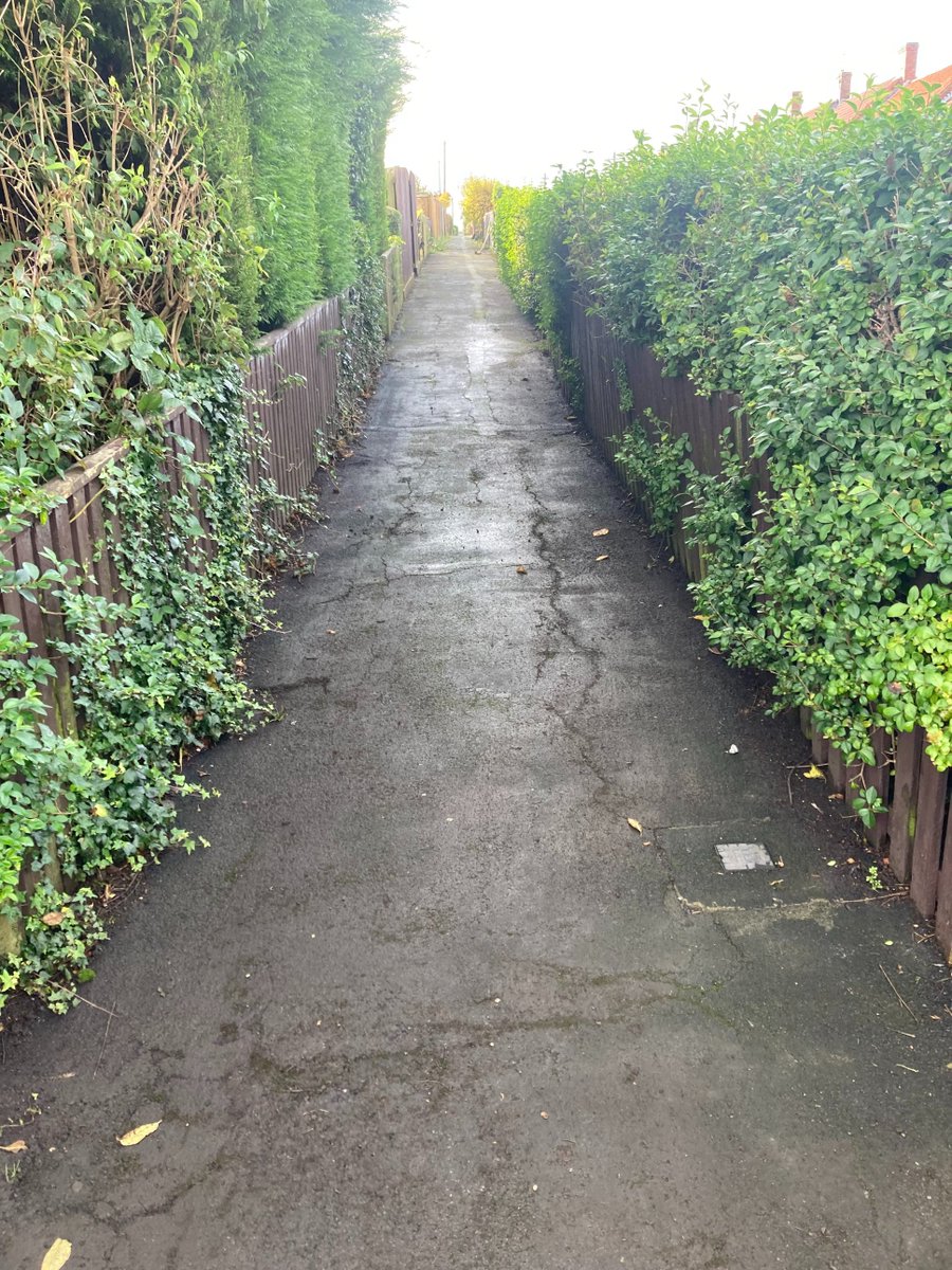 NEPS_Payback's tweet photo. We have been working with Durham Clean and Green department to make a network of pathways clear of moss and overhanging branches.

Some brilliant work has been completed by People on Probation and Supervisor Duncan at Laurel Road in Seaham. 

#CommunityPayback #ProbationNorthEast https://t.co/dsE2QuiCmu