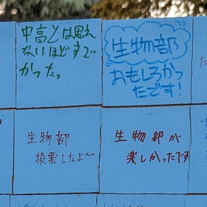 TK_biology's tweet photo. 文化祭一日目が終わりました
おかげさまで、1400名あまりのお客様をお迎えすることができました！
明日以降も、より一層内容をブラッシュアップしてまいります
ぜひ、明日以降も生物部にお越しください！！！ https://t.co/uvJAWK5K1Q
