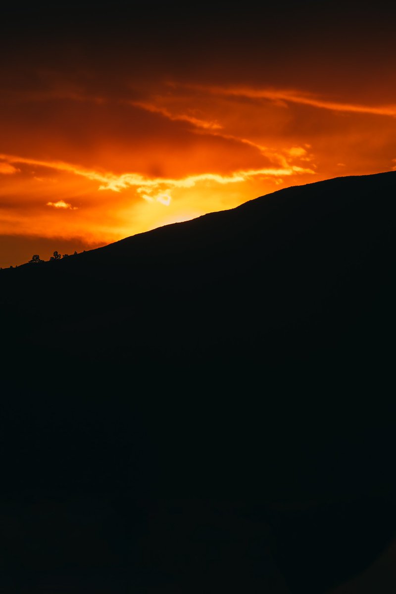 Thomas C tweet media