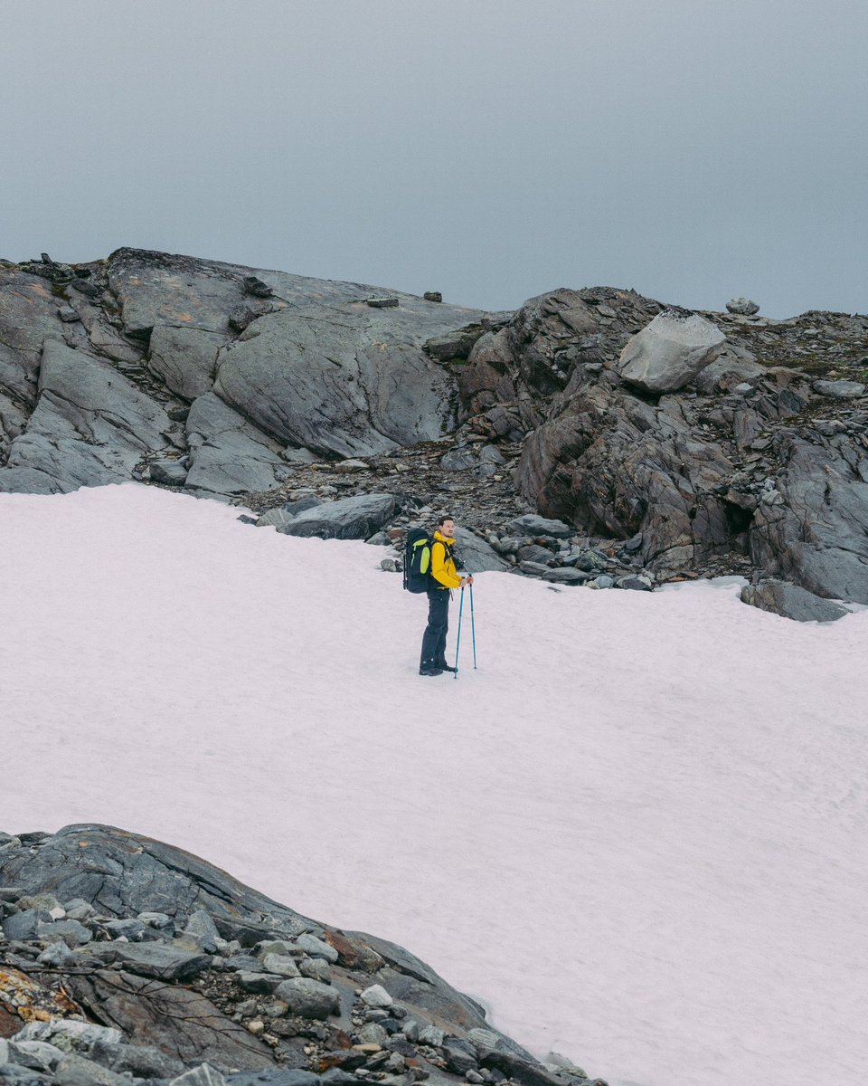 Thomas C tweet media