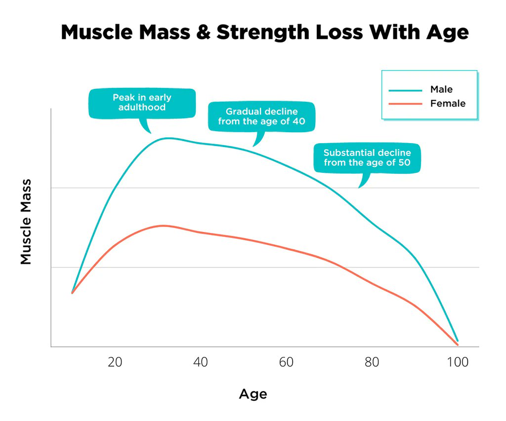 We lose 3-8% of muscle every decade.

This rate accelerates after 60 with up to 50% of muscle loss by age 70.

The key to aging powerfully is lifting weights.